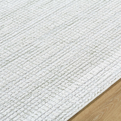 Albena Gray Area Rug - Stylish, Durable & Luxurious - Perfect for Modern Living Spaces