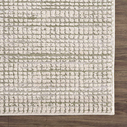 Albena Gray Area Rug - Stylish, Durable & Luxurious - Perfect for Modern Living Spaces