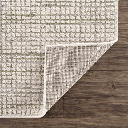 Albena Gray Area Rug - Stylish, Durable & Luxurious - Perfect for Modern Living Spaces