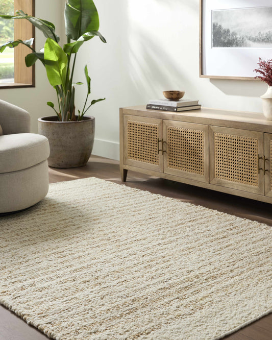Yaron Area Rug - Hand-Woven Wool & Jute Rug, Durable No Pile Design, Transitional & Traditional Styles-0